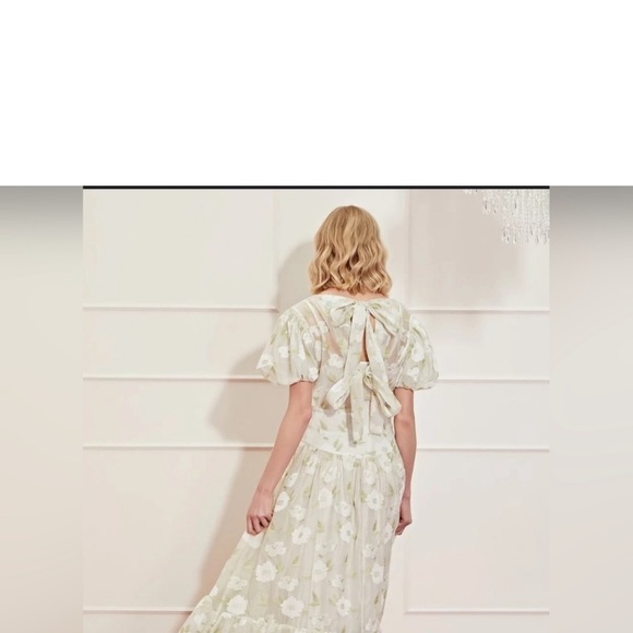 Sister Jane Dream Peasant Prairie Tiered Sheered Ruffle Formal Bridal G… - Picture 2 of 4
